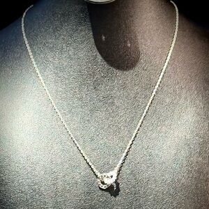 Sterling Silver 925 Necklace with Interlocking Pendant